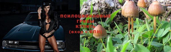 гашик Бугульма
