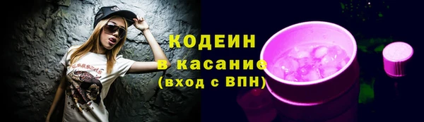 СК Бронницы