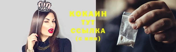 СК Бронницы