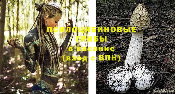 СК Бронницы