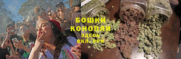 СК Бронницы